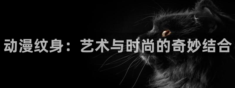 风车动漫(p)_下载